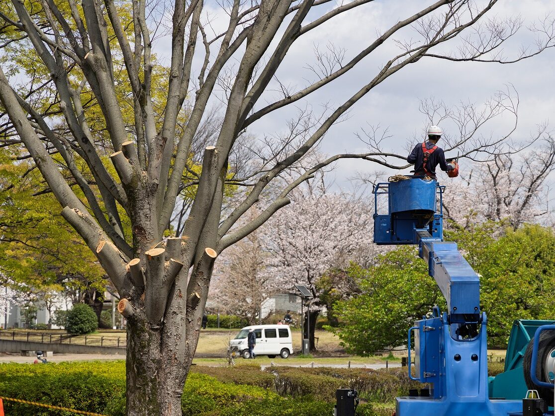 AdobeStock_1411367841