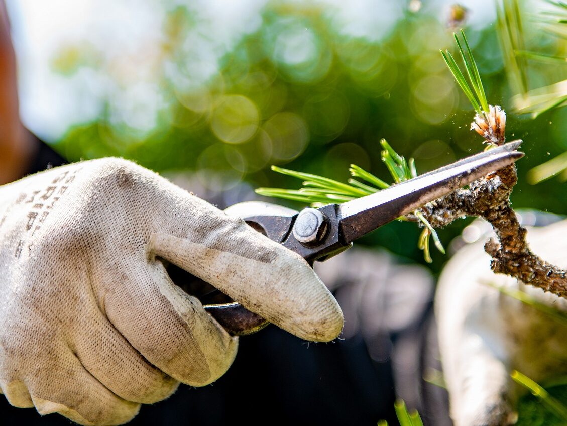 AdobeStock_271886137