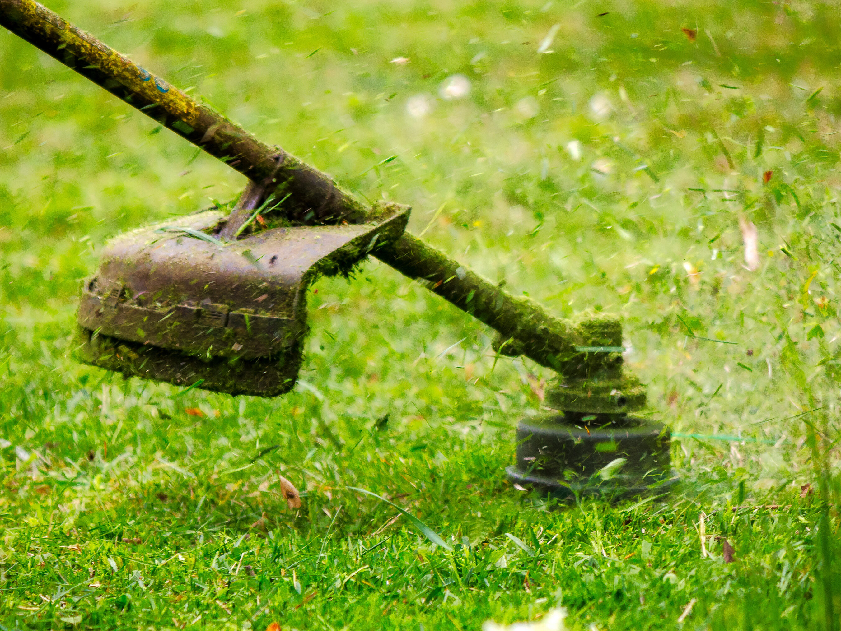 lawn care and garden maintenance