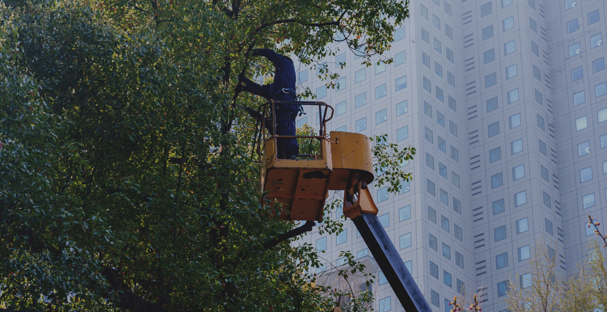 その手で、街の景色を変えていけ！ 一都三県の民間造園なら株式会社大樹園ホールディングス